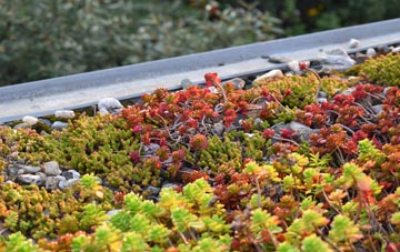 the cost of Water Stratford green roof installation
