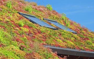 Water Stratford living roof systems